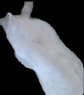 Crop