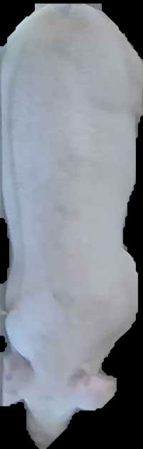 Crop