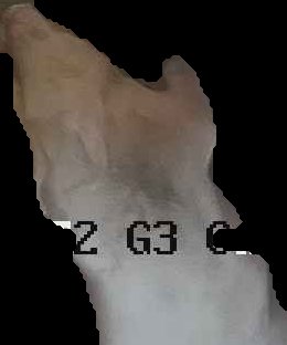 Crop