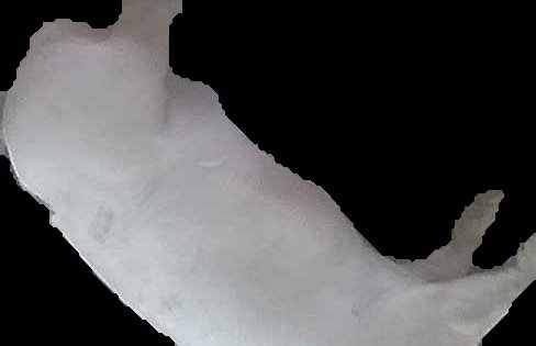 Crop