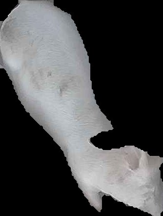Crop