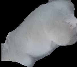 Crop