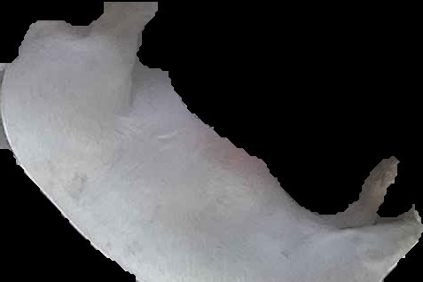 Crop