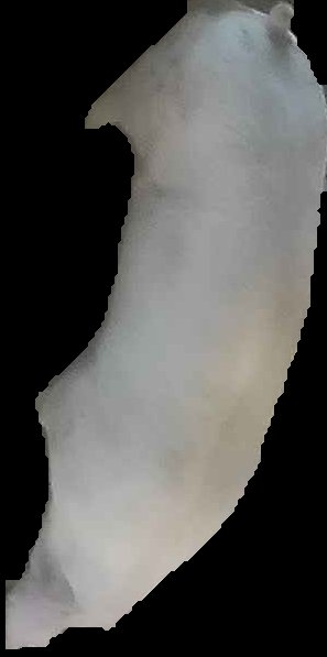 Crop