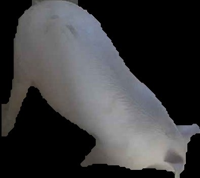 Crop