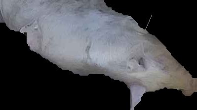 Crop