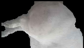 Crop