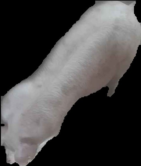 Crop