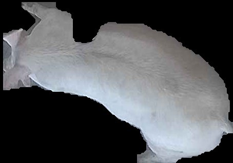Crop