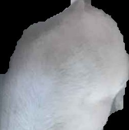 Crop