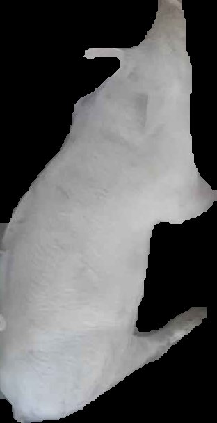 Crop