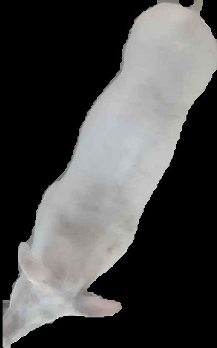Crop