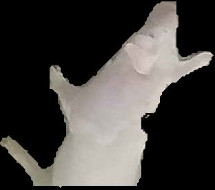 Crop