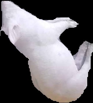Crop