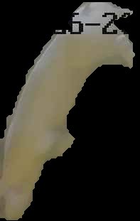 Crop