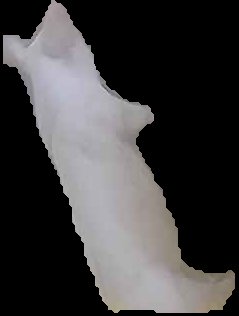 Crop
