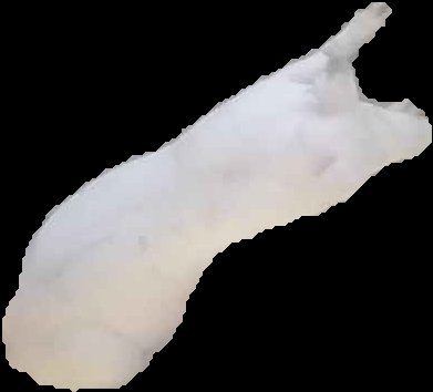 Crop