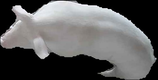Crop