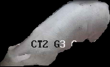 Crop