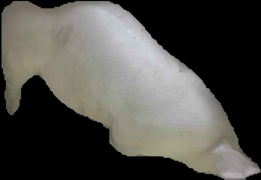 Crop