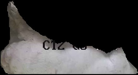 Crop