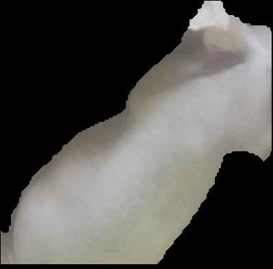 Crop
