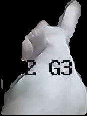 Crop