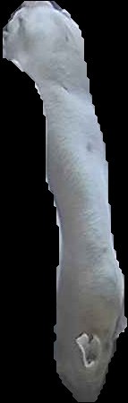 Crop