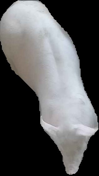 Crop