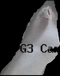 Crop