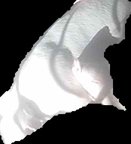 Crop