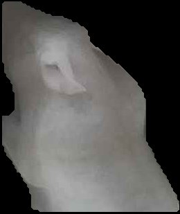 Crop
