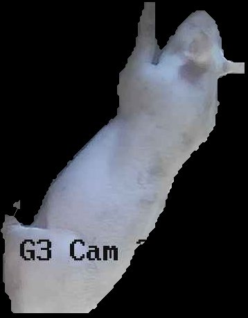 Crop