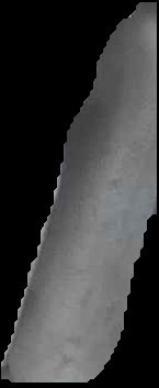 Crop