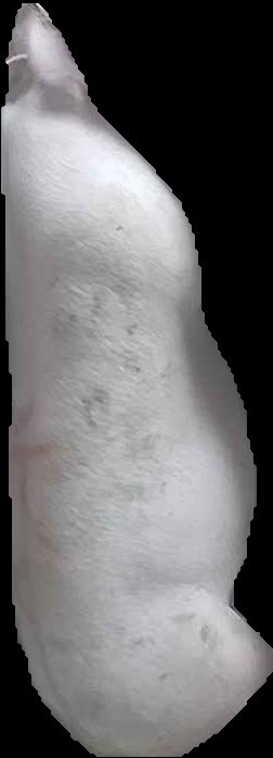 Crop