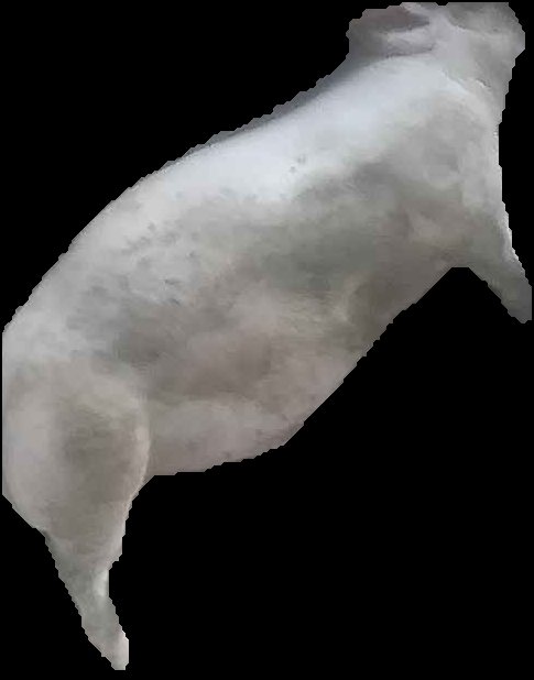 Crop