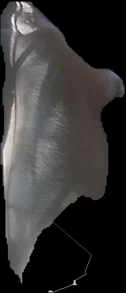 Crop