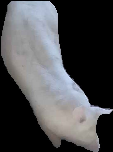 Crop