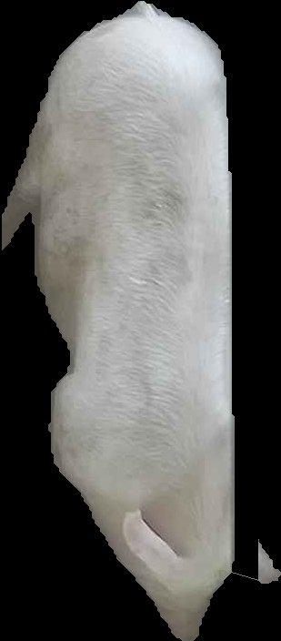 Crop