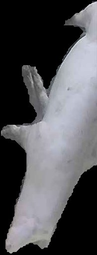 Crop
