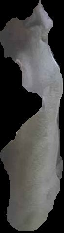 Crop