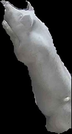 Crop