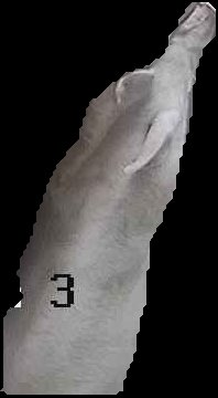 Crop