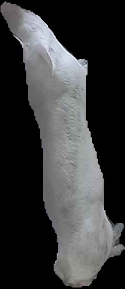 Crop