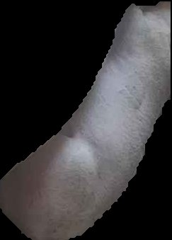 Crop