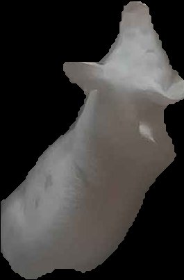 Crop