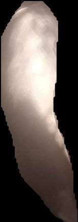Crop