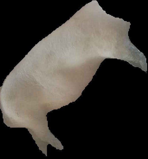 Crop
