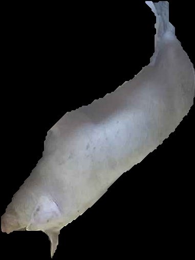 Crop