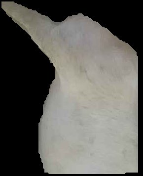 Crop